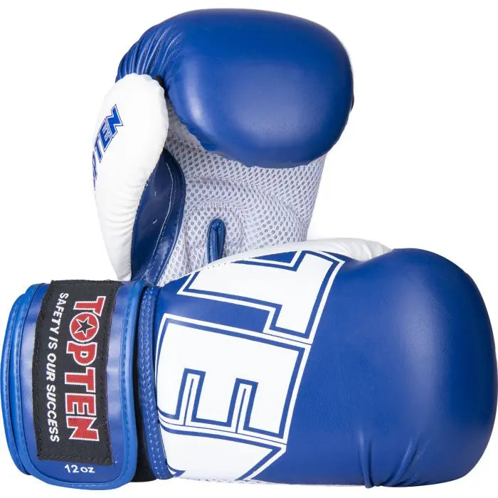 Top Ten Boxing Gloves “NK 3”
