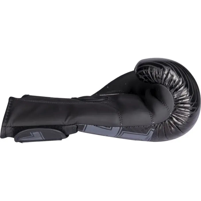 Top Ten Boxing Gloves "Vectory"