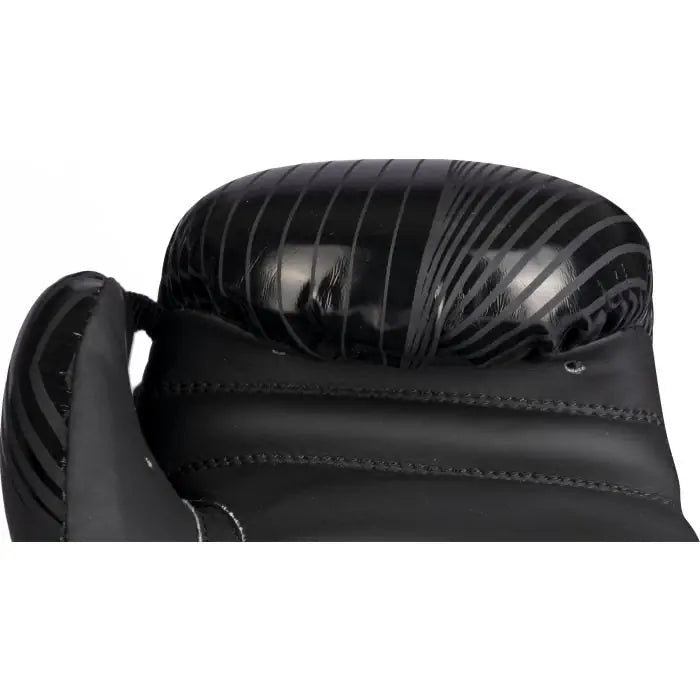 Top Ten Boxing Gloves "Vectory"