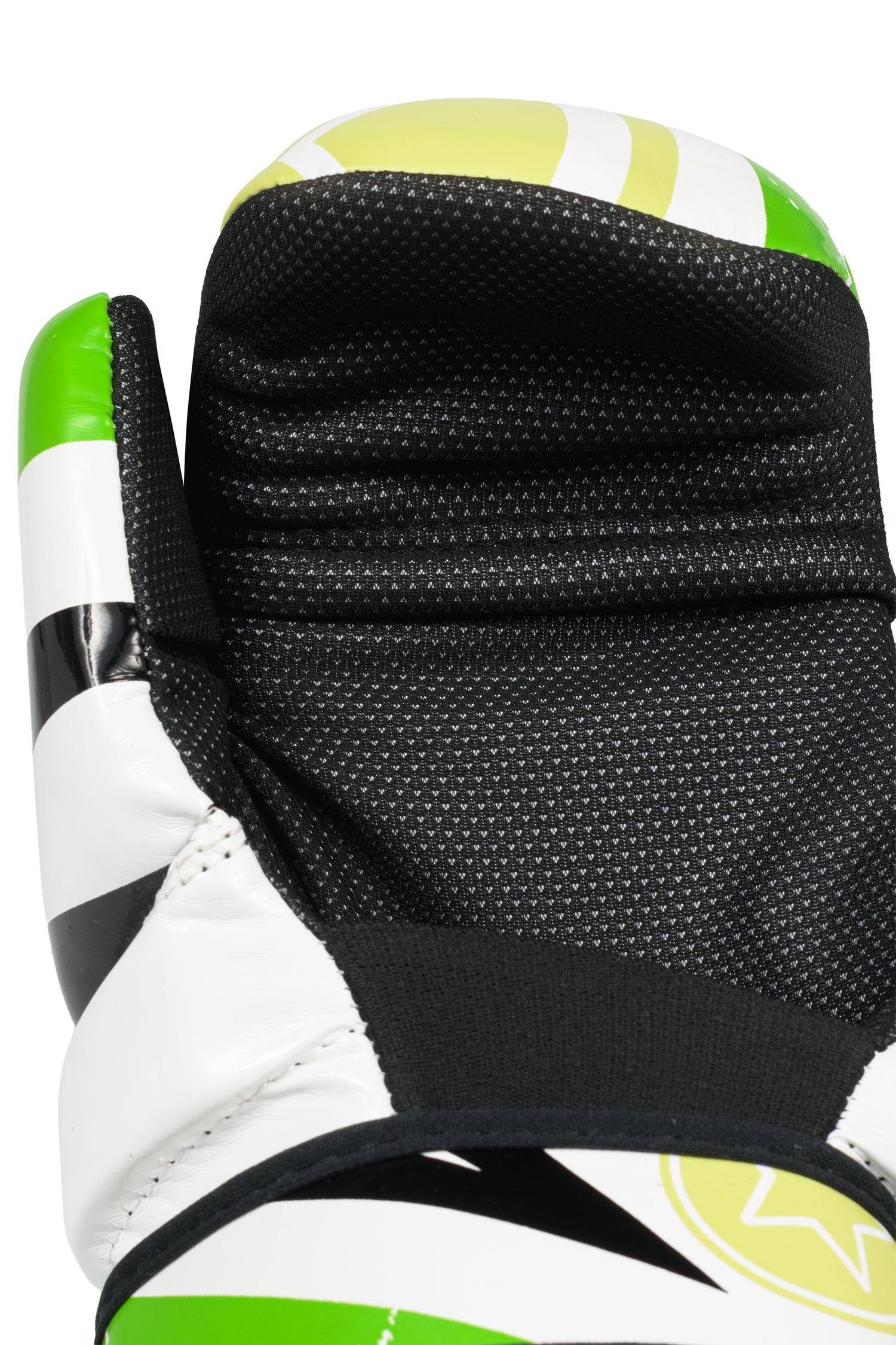 Top Ten Pointfighter Gloves “URBAN ARTS”