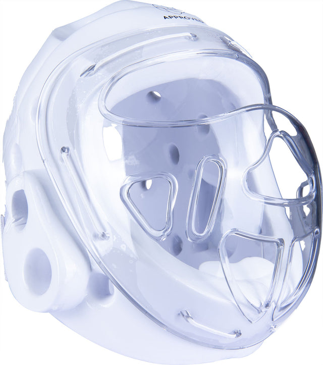 Hayashi Headguard with mask (U14) [246 image 1]